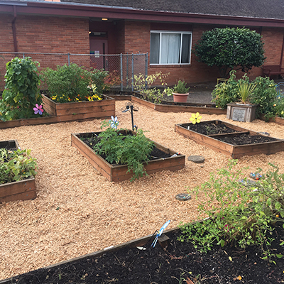 La Casita Planted Garden